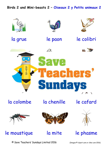Birds 2 and Mini-beasts 2 in French Worksheets, Games, Activities and Flash Cards (with audio)