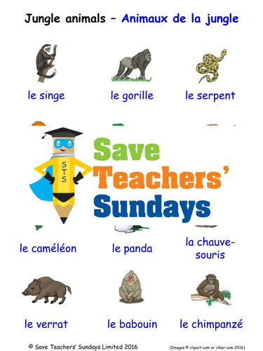 Jungle Animals in French Worksheets, Games, Activities and Flash Cards (with audio)