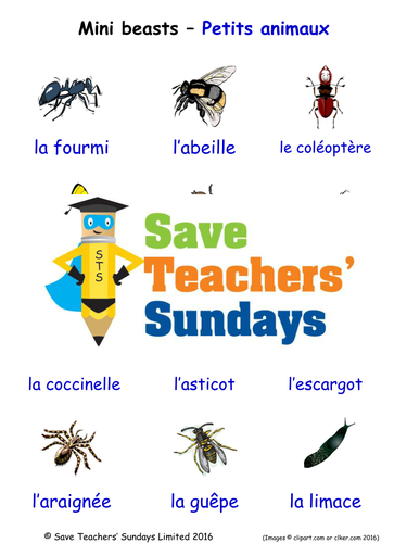Mini-beasts in French Worksheets, Games, Activities and Flash Cards (with audio)