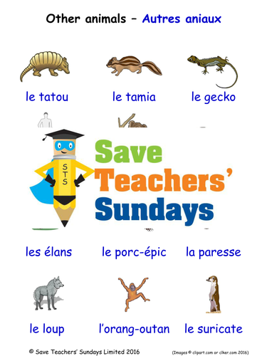 Other Animals in French Worksheets, Games, Activities and Flash Cards (with audio)