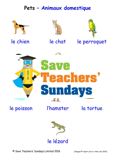 Pets in French Worksheets, Games, Activities and Flash Cards (with audio)