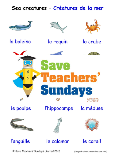 Sea Creatures in French Worksheets, Games, Activities and Flash Cards (with audio)