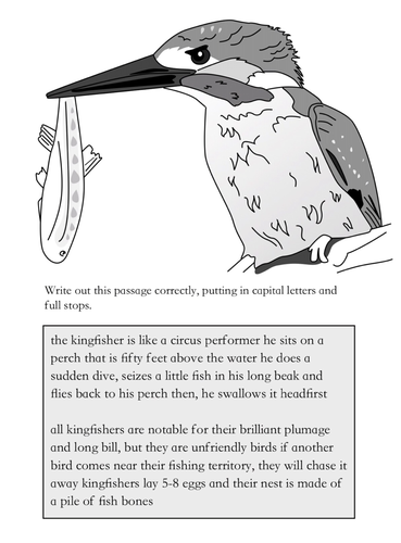 literature review of kingfisher