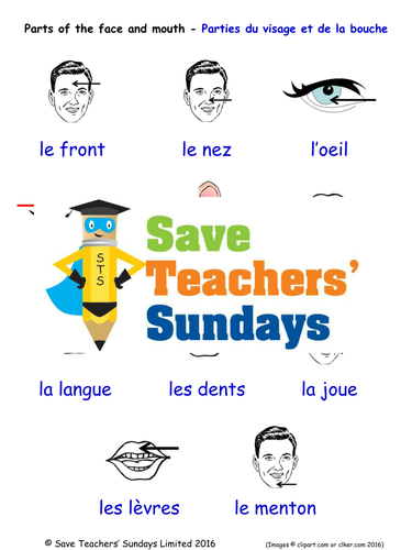 Parts of the Face in French Worksheets, Games, Activities and Flash Cards (with audio)