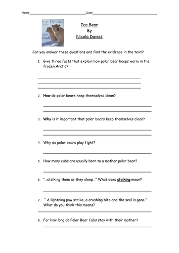 reading comprehension for ice bear by nicola davies for y2
