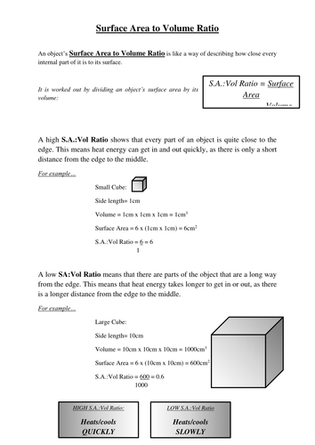 docx, 28.88 KB