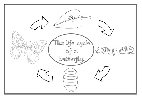 EYFS minibeasts pack- beasts, bugs and insects- mini beasts | Teaching ...