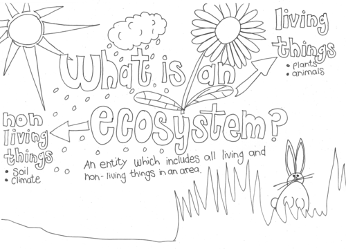 What is an Ecosystem? Colouring Page | Teaching Resources