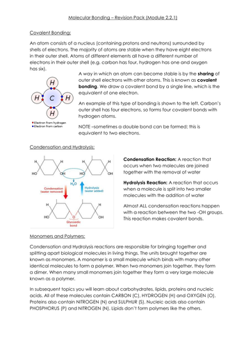 Biology Module 2 2 Biological Molecules Ocr Revision Packs Teaching Resources