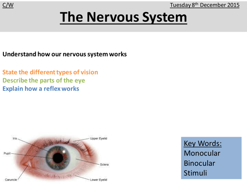 OCR Gateway Science B1d PowerPoint