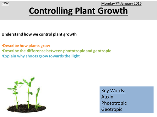 OCR Gateway Science B1g PowerPoint