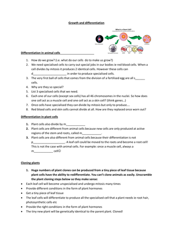 New GCSE Biology AQA Growth and differentiation. | Teaching Resources