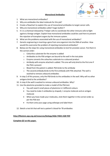 A level Biology Monoclonal Antibodies questions | Teaching Resources