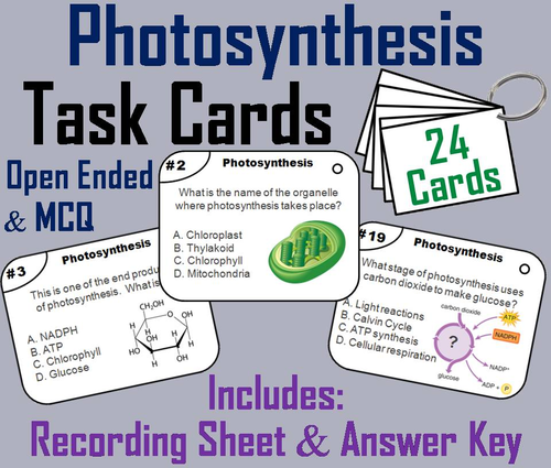 Photosynthesis Task Cards