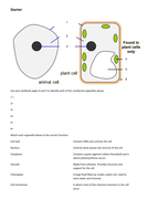 Cell structure and function - animal and plant cells (GCSE biology ...