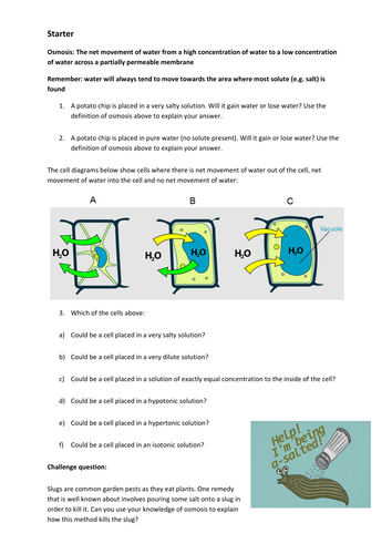 Osmosis starter task (GCSE Biology) | Teaching Resources