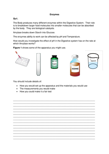 Enzymes 6 mark question Required Practical