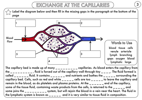 Blood Flowing Pack