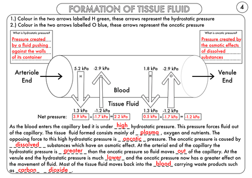 pdf, 333.87 KB