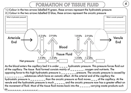 A Level Biology Resource Pack on Circulation and Blood Vessels