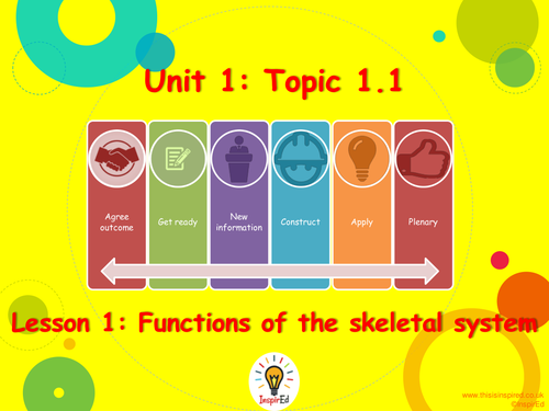 new-edexcel-gcse-pe-unit-1-topic-1-lesson-1-functions-of-the