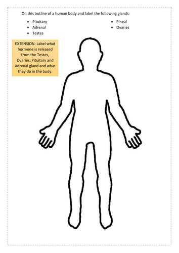 The Endocrine System Full Lesson for AQA Biopsychology | Teaching Resources