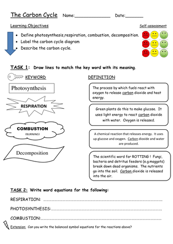 Carbon Cycle Worksheet | Teaching Resources