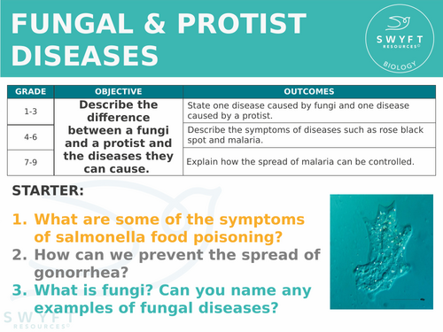 NEW AQA GCSE (2016) Biology lesson - Fungal & Protist Diseases