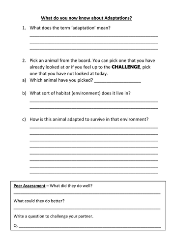 Animal Habitats and Adaptation Full Lesson | Teaching Resources