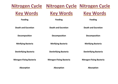 Nitrogen Cycle Full Lesson | Teaching Resources