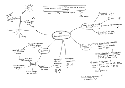 Mind map for B4b: Photosynthesis OCR Gateway (Legacy) | Teaching Resources
