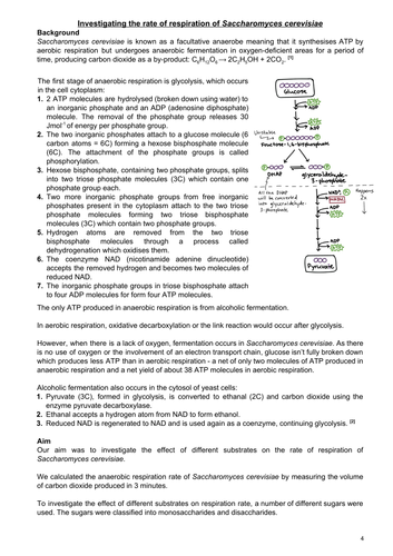 pdf, 1.04 MB