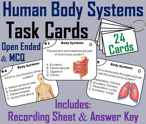Human Body Systems Task Cards