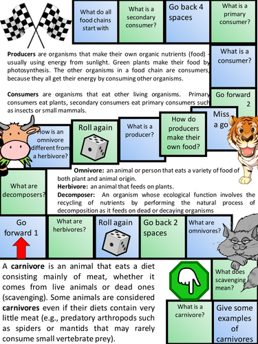 New AQA GCSE Biology Trophic Levels Lesson | Teaching Resources