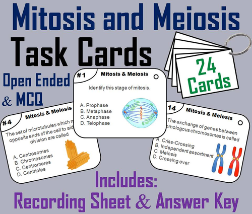 Mitosis and Meiosis Task Cards | Teaching Resources