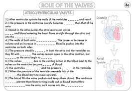 A Level Biology: Worksheet Pack on Heart Structure and the ...