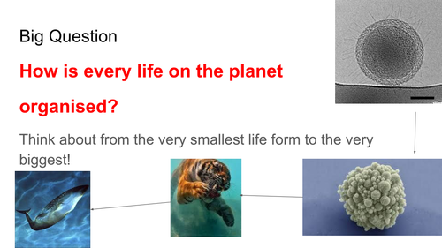 Introduction to Human Organ Systems - Year 7 | Teaching Resources