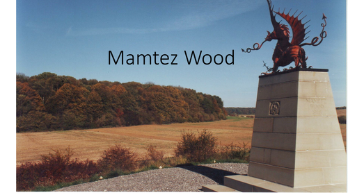 Mamtez Wood