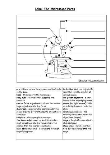 OCR A Level Biology (H020 - from 2015) Cell structure - Measuring ...