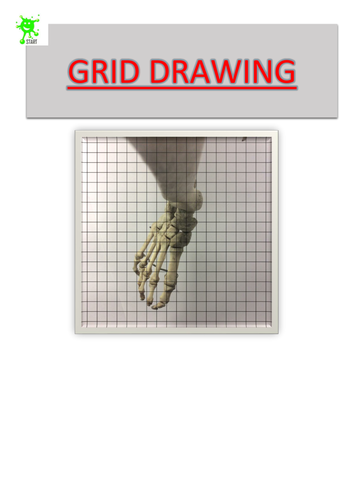 Art. Grid Drawing. Foot bones