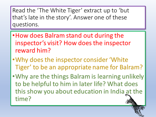 the white tiger essay questions