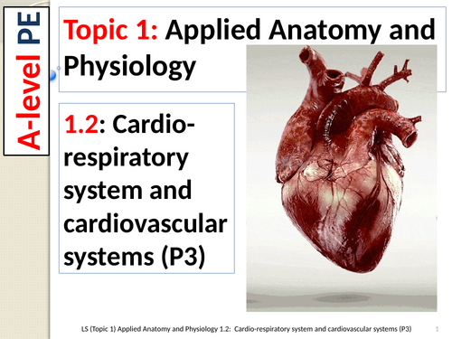 A-level Edexcel Spec 2016: Topic 1 Applied Anatomy & Physiology ...
