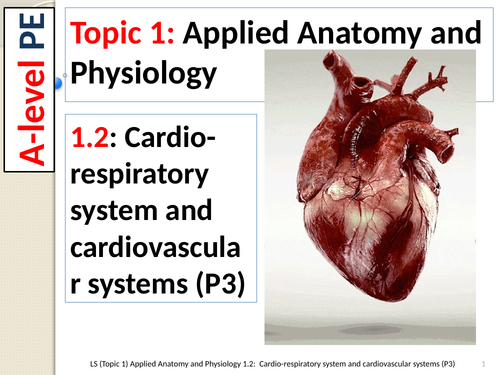 A-level PE EDEXCEL (Spec 2016) 1.2: Cardio-Respiratory & Cardiovascular System (Part 3)