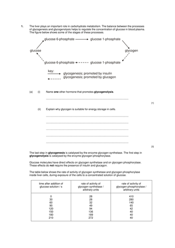 docx, 17.1 KB