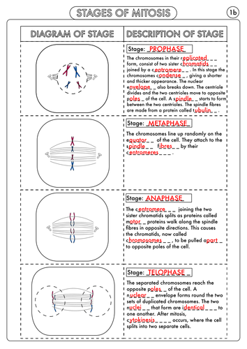 pdf, 295.08 KB