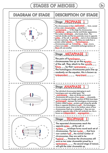 pdf, 465.21 KB