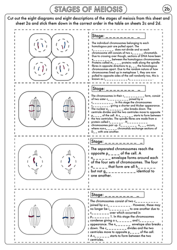 pdf, 448.3 KB