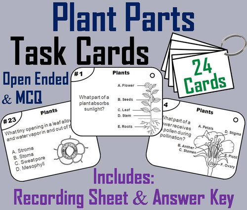 Plants Task Cards
