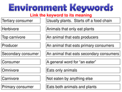 Feeding Relationships - AQA Biology 2016 | Teaching Resources