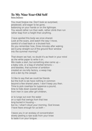 An analysis of the essay the zoo by helen dunmore picture